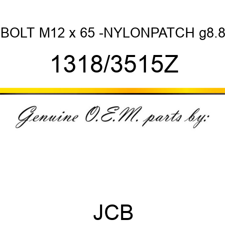 BOLT M12 x 65 -NYLONPATCH g8.8 1318/3515Z