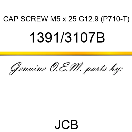 CAP SCREW M5 x 25 G12.9 (P710-T) 1391/3107B