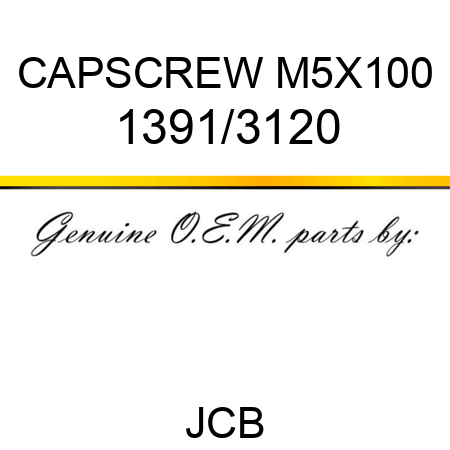 CAPSCREW M5X100 1391/3120
