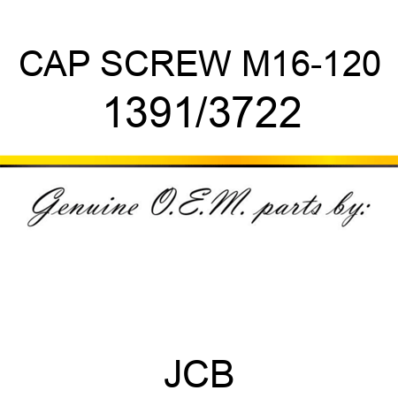 CAP SCREW M16-120 1391/3722