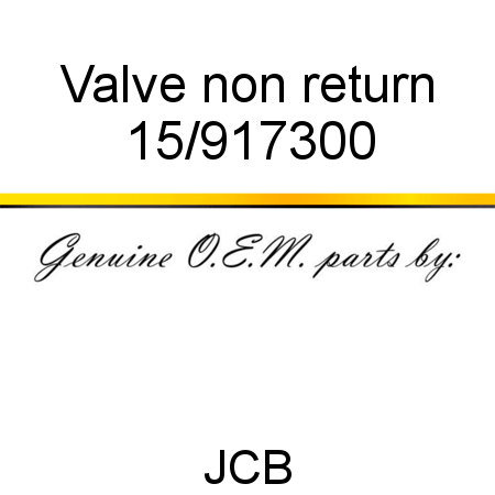 Valve, non return 15/917300