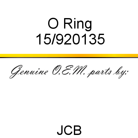 O Ring 15/920135