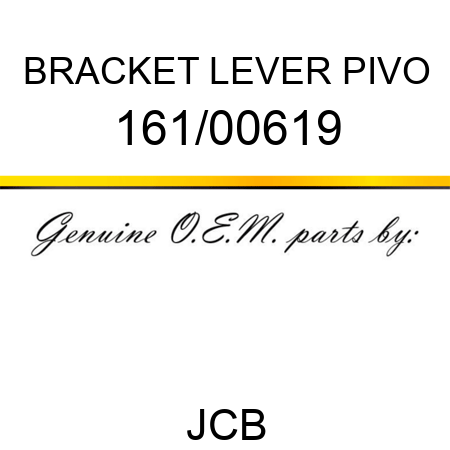BRACKET LEVER PIVO 161/00619
