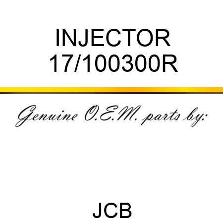 INJECTOR 17/100300R