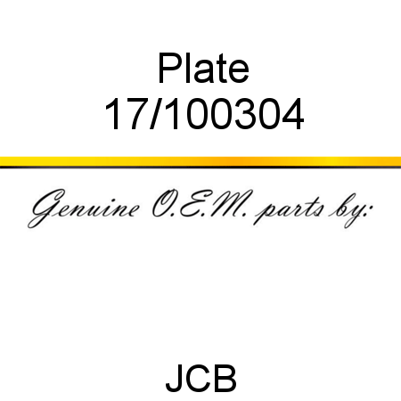 Plate 17/100304