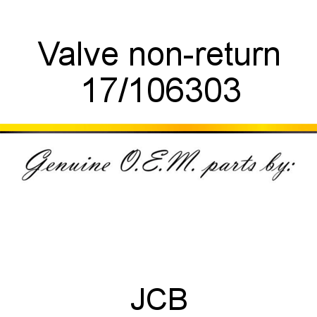 Valve, non-return 17/106303