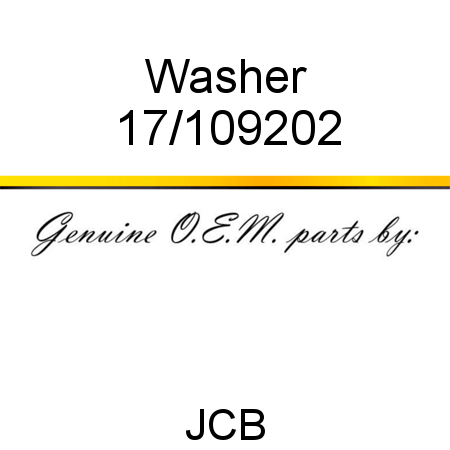 Washer 17/109202