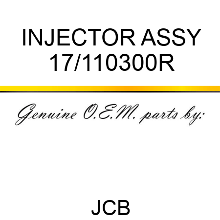 INJECTOR ASSY 17/110300R