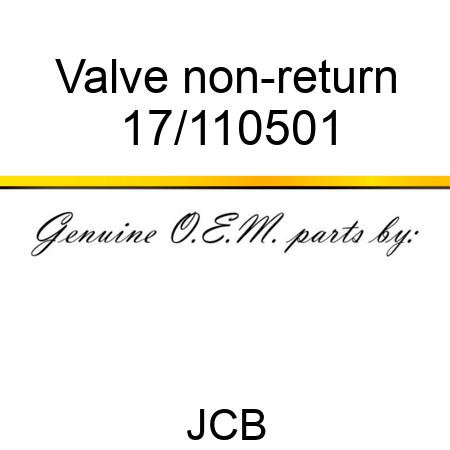 Valve non-return 17/110501