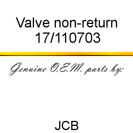 Valve, non-return 17/110703