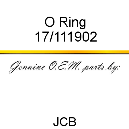 O Ring 17/111902
