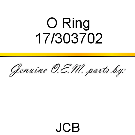 O Ring 17/303702