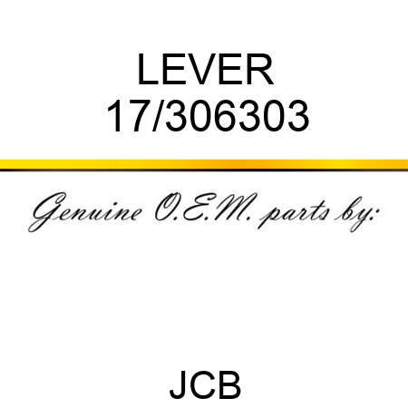 LEVER 17/306303
