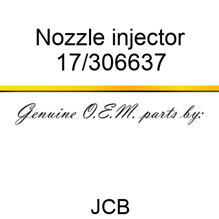 Nozzle injector 17/306637