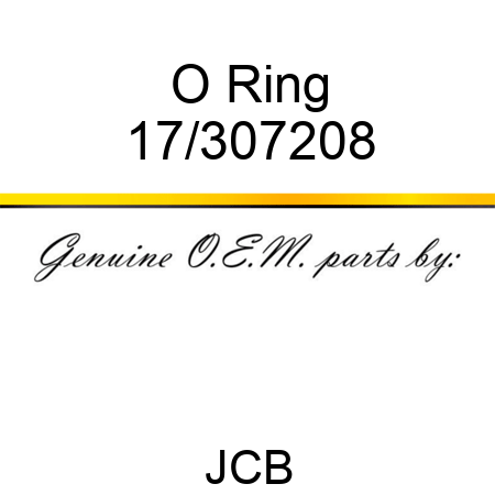 O Ring 17/307208