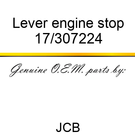 Lever engine stop 17/307224