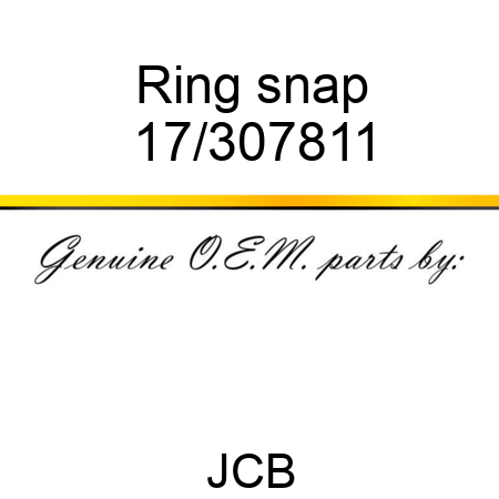 Ring snap 17/307811