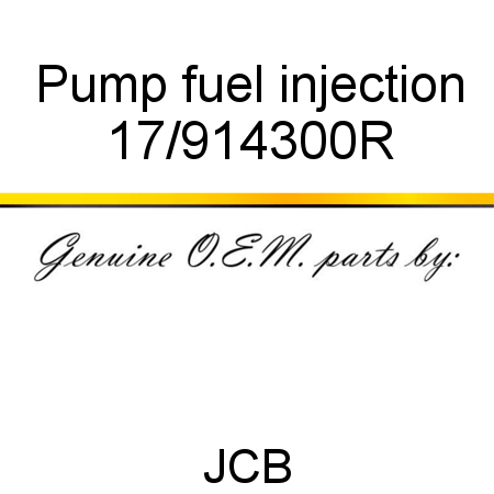 Pump fuel injection 17/914300R
