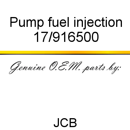 Pump, fuel injection 17/916500
