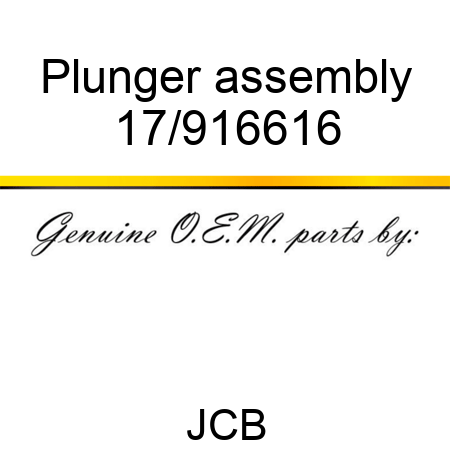 Plunger assembly 17/916616