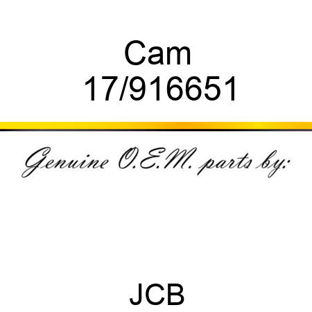 Cam 17/916651