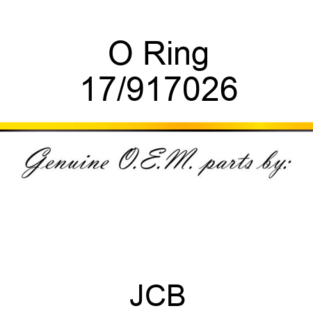 O Ring 17/917026