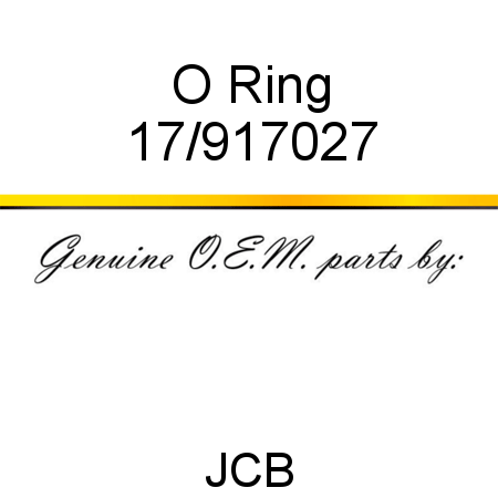 O Ring 17/917027