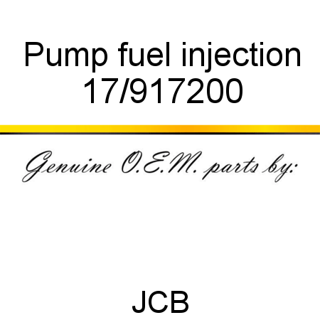 Pump, fuel injection 17/917200