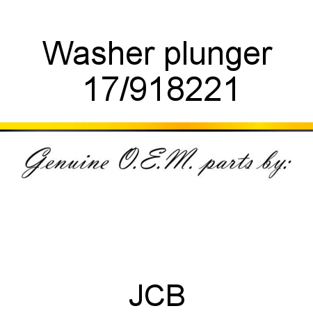 Washer, plunger 17/918221