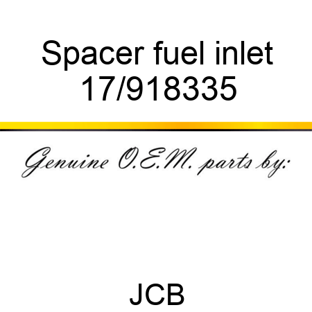 Spacer fuel inlet 17/918335