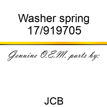 Washer spring 17/919705