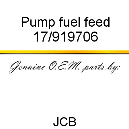 Pump, fuel feed 17/919706