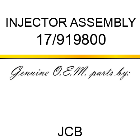 INJECTOR ASSEMBLY 17/919800