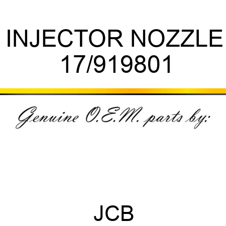 INJECTOR NOZZLE 17/919801