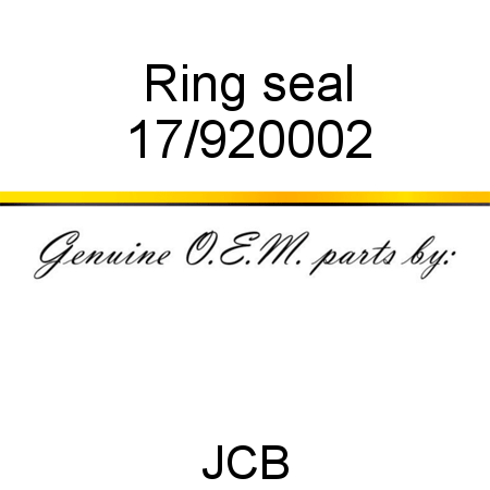 Ring, seal 17/920002