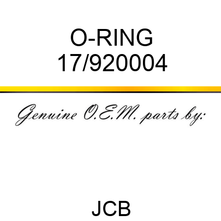 O-RING 17/920004