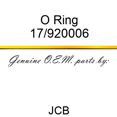 O Ring 17/920006