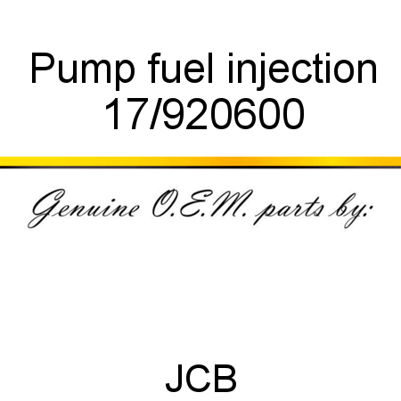 Pump, fuel injection 17/920600