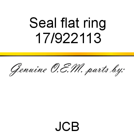 Seal, flat ring 17/922113