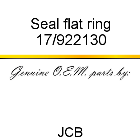 Seal, flat ring 17/922130