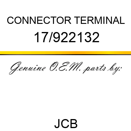 CONNECTOR TERMINAL 17/922132