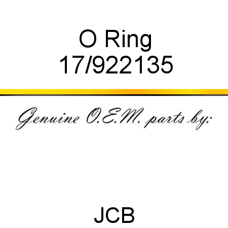 O Ring 17/922135