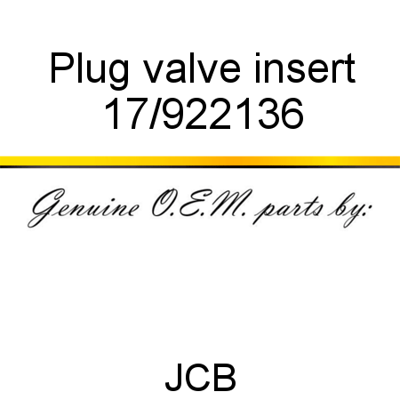 Plug, valve insert 17/922136