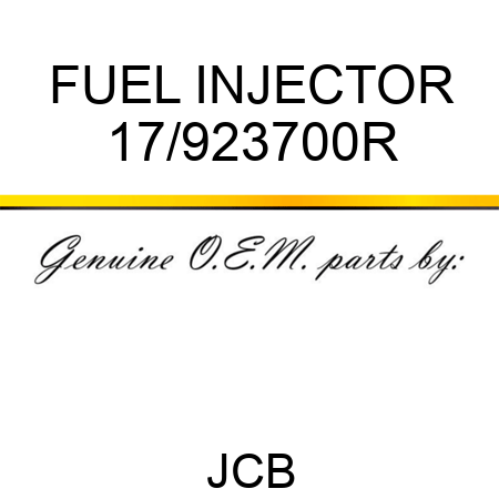 FUEL INJECTOR 17/923700R