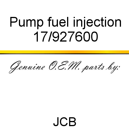 Pump, fuel injection 17/927600