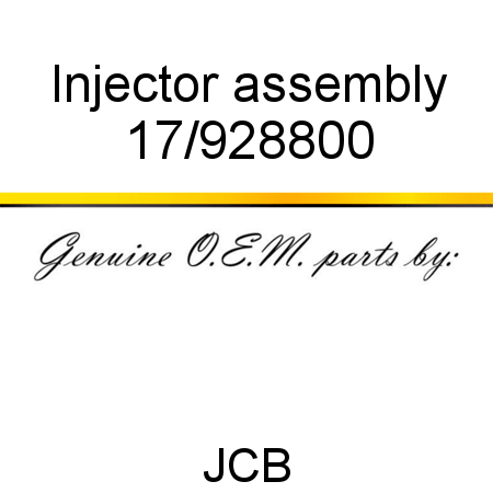 Injector, assembly 17/928800