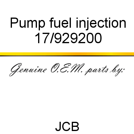 Pump fuel injection 17/929200