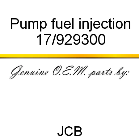 Pump fuel injection 17/929300