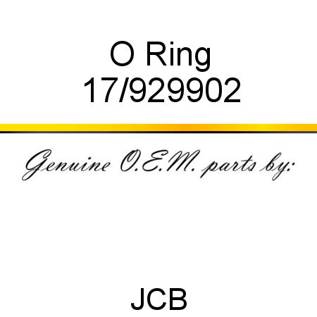 O Ring 17/929902