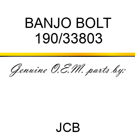 BANJO BOLT 190/33803